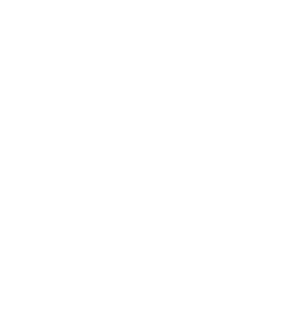 Z-FIT